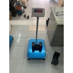 CÂN BÀN ĐIỆN TỬ AMCELL DRS-III CÂN BÀN ĐIỆN TỬ AMCELL DRS-III, CAN BAN DIEN TU AMCELL DRS-III - image3