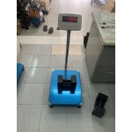 CÂN BÀN ĐIỆN TỬ AMCELL DRS-III CÂN BÀN ĐIỆN TỬ AMCELL DRS-III, CAN BAN DIEN TU AMCELL DRS-III - image2